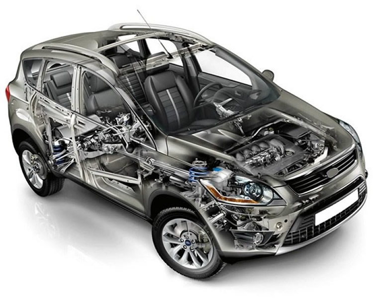 Escaneo Especializado